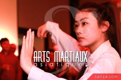 Arts Martiaux Asiatiques | SANZA, Animation Evénementielle