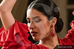 Danseurs de Flamenco | Sanza, Animation Evénementielle