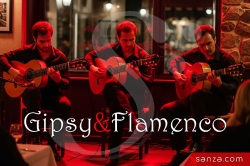 Guitares Gipsy & Flamenco | SANZA, Animation Evénementielle