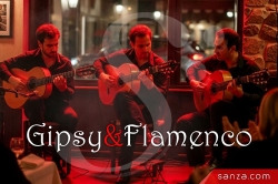 Guitares Gipsy & Flamenco | SANZA, Animation Evénementielle
