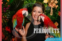 Danse des Perroquets | SANZA, Animation Evénementielle