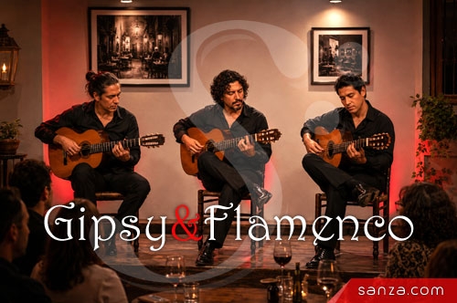 Guitares Gipsy & Flamenco | SANZA, Animation Evénementielle