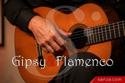 Guitares Gipsy & Flamenco | SANZA, Animation Evénementielle